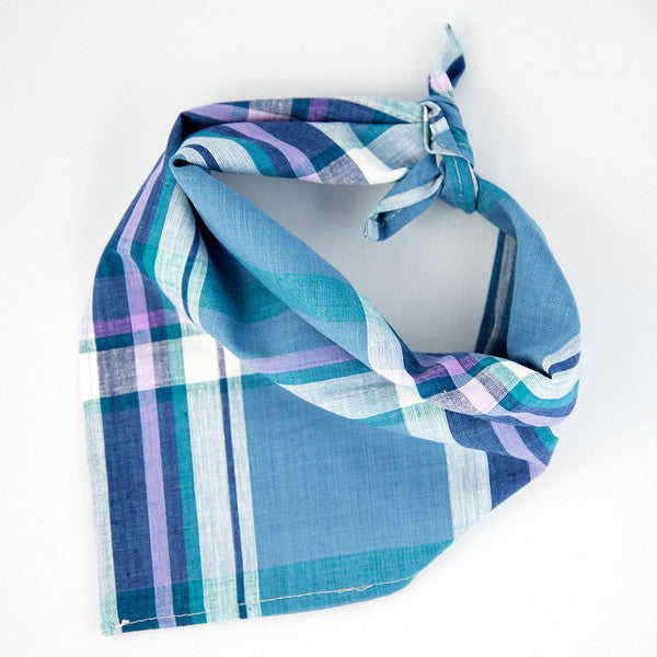 The Lakeside Bandana