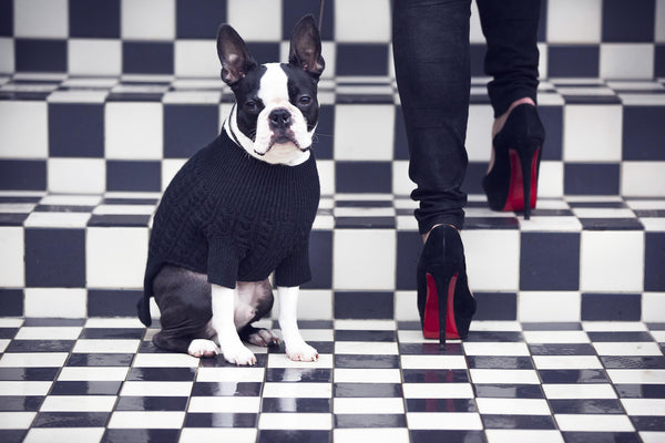 Kora Cable Knit Cashmere Sweater in Navy